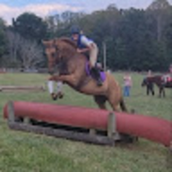 maddywray438